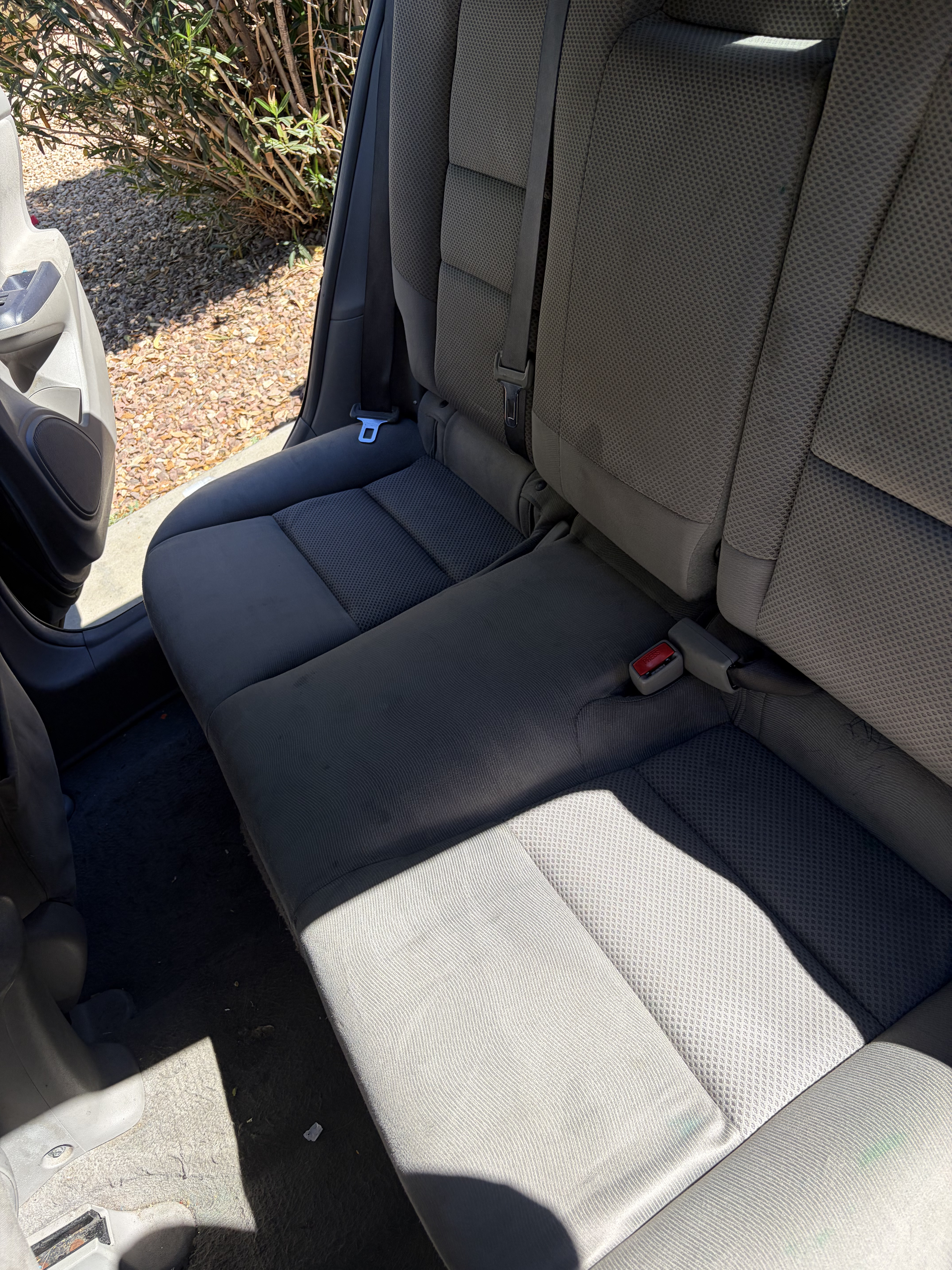 Interior after professional auto detailing Phoenix AZ